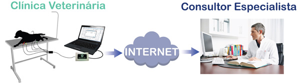 DL1060 - Monitor Multiparamétrico Bluetooth - Imagem 3